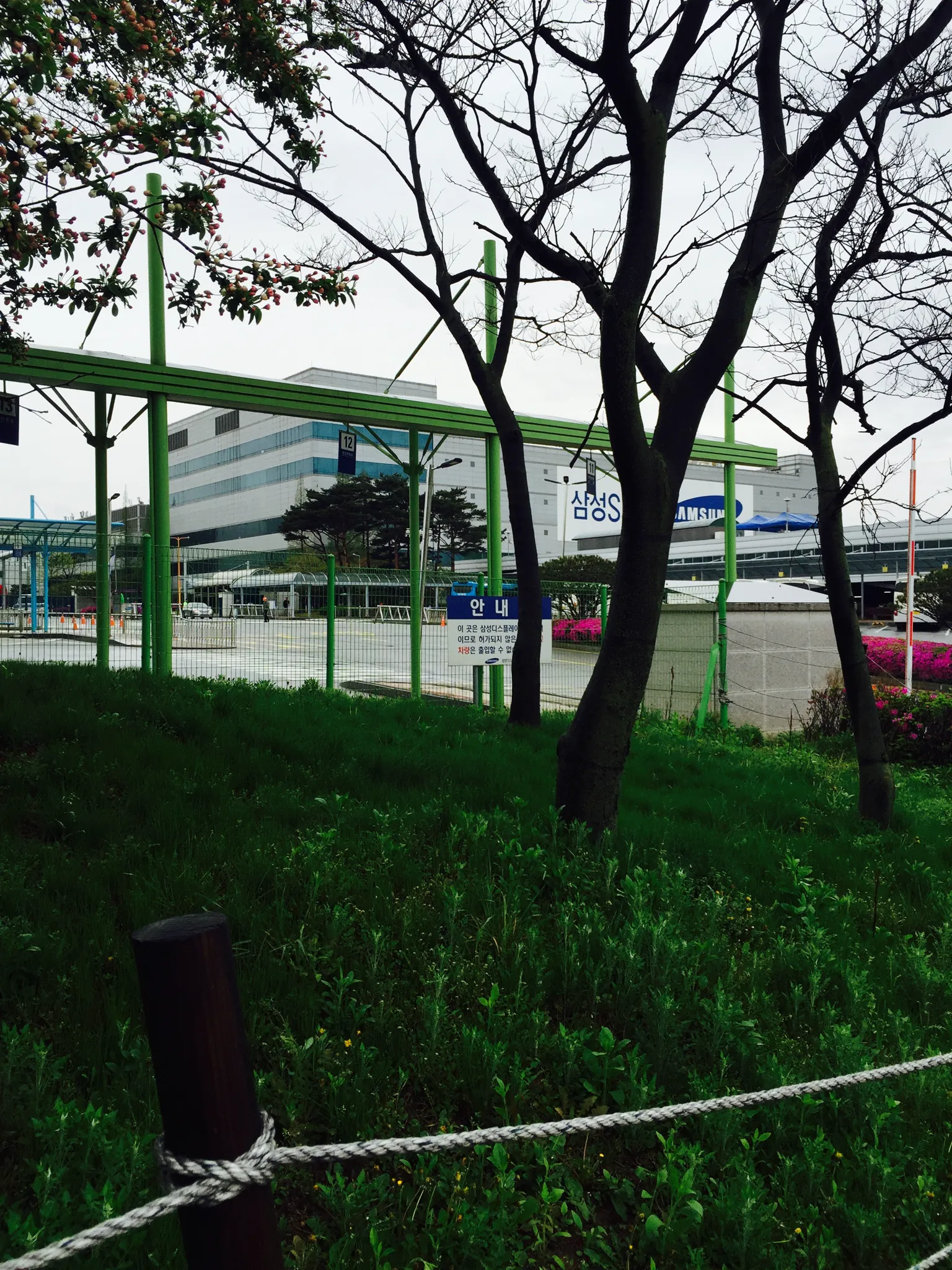 园区远眺SAMSUNG建筑
